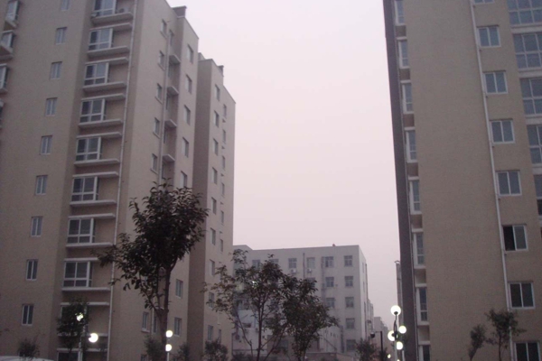 售楼处-楼盘现场环境