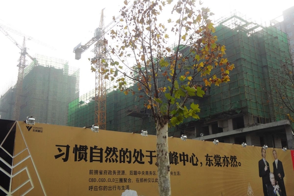 售楼处-楼盘现场环境
