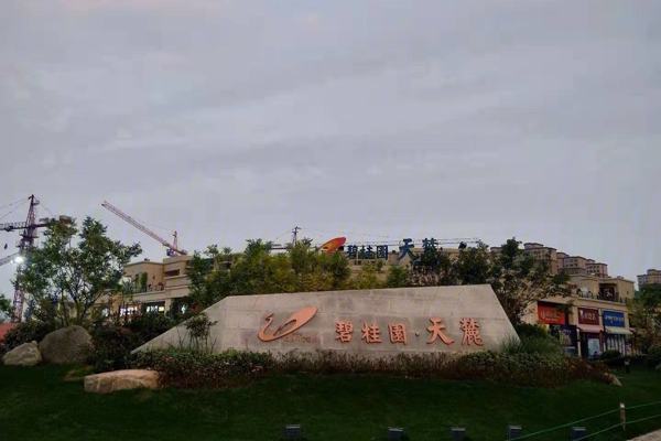 售楼处-楼盘现场环境