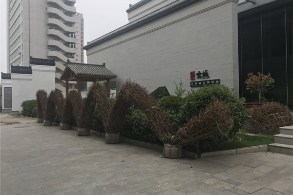 售楼处-楼盘现场环境