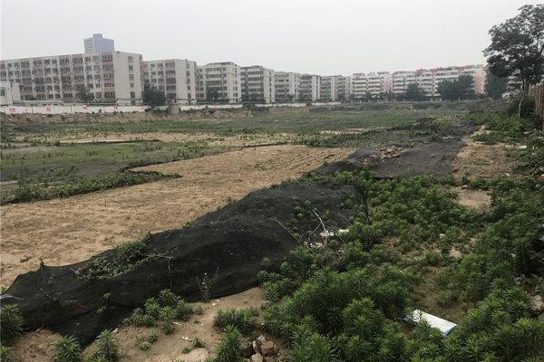 售楼处-楼盘现场环境