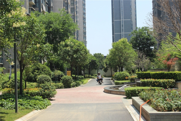售楼处-楼盘现场环境