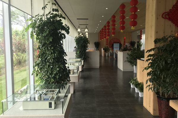 售楼处-楼盘现场环境