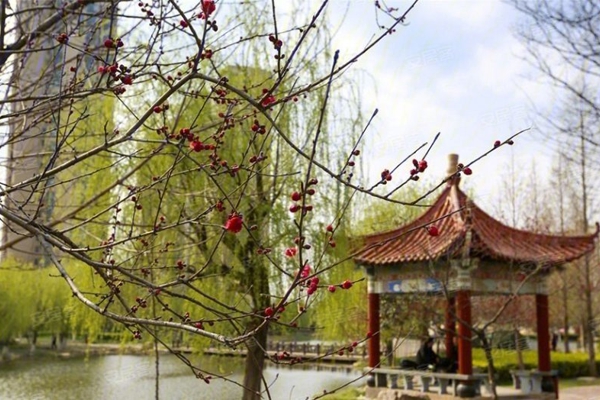 配套图-楼盘周边配套