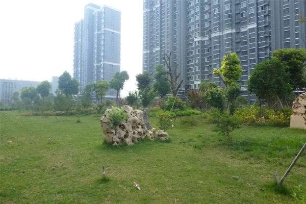 售楼处-楼盘现场环境