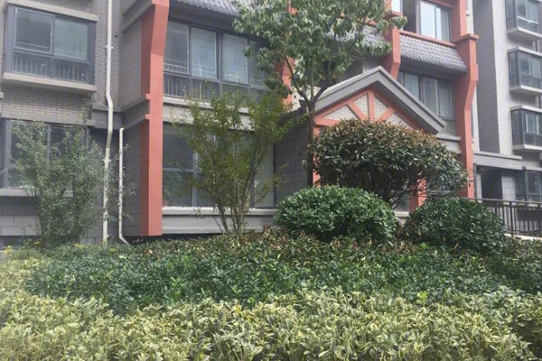 售楼处-楼盘现场环境