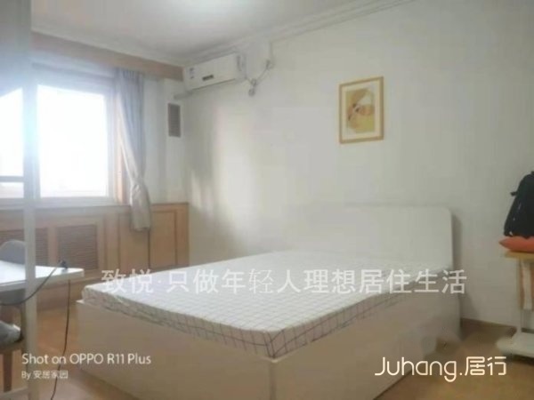 五折育红小学达活泉公园