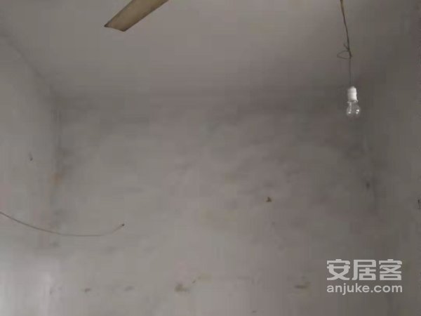 大庆路凤凰城后身，塑料厂家属院平房带小院，200元，随时看房