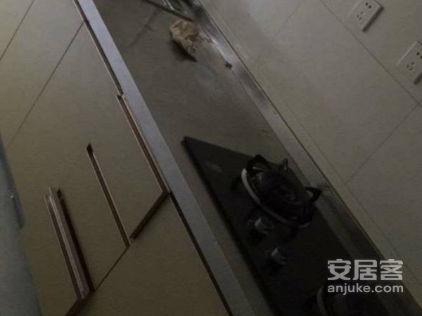 怡水公馆紧邻衡百国际怡水园职教中心衡水5院拎包入住