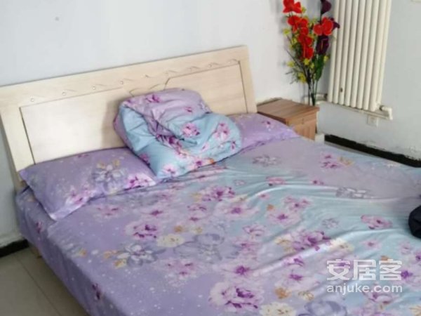 附近十四中，衡百国际，吉美家居，精装。1室1厅，随时看房入住