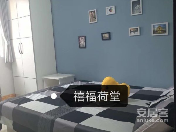 禧福荷堂次卧实体墙650包物业和网费拎包入住押一付一