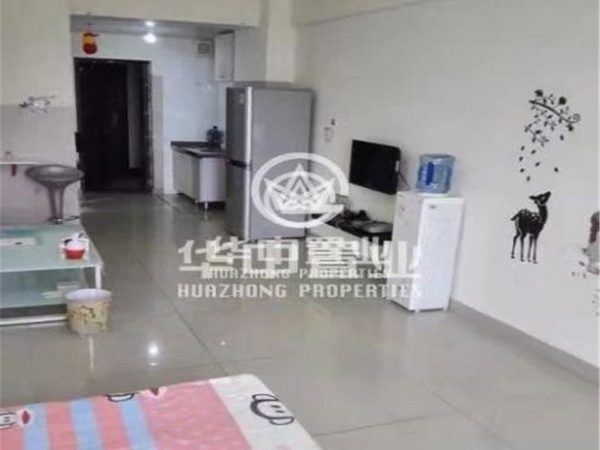金街公寓精装一居室全阳家具家电齐随时看房拎包入住