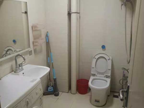 阳光小屋，精装修，家具电器齐全，拎包入住