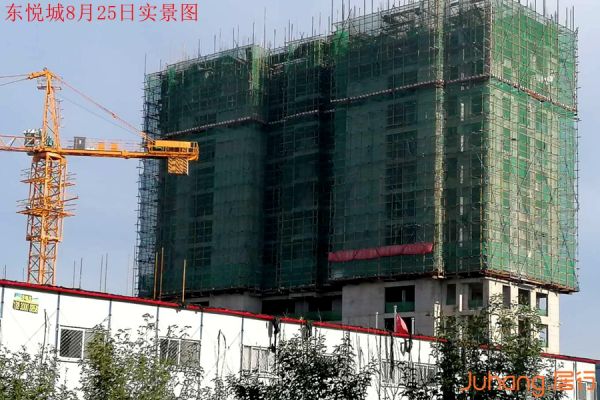 东悦城工程实景图1
