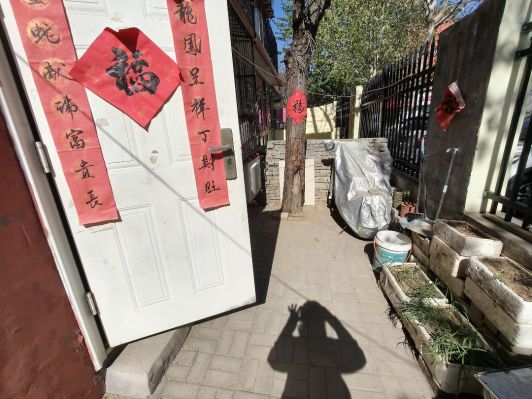 老证带小院