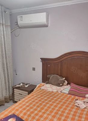 老证  市实验小学 25中