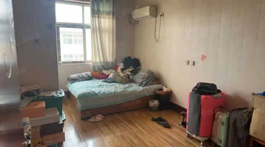 老证